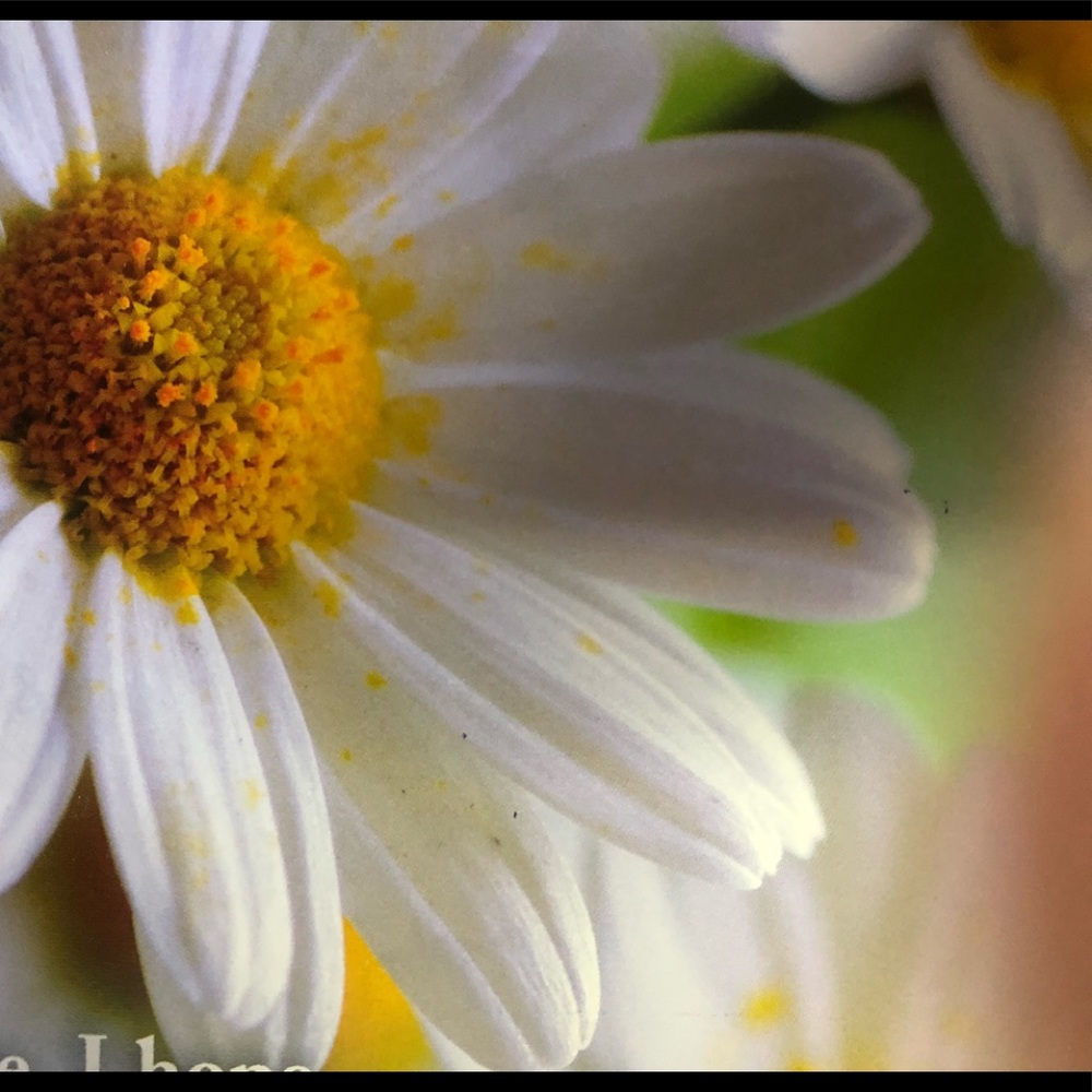 Meet your Posher, Patricia